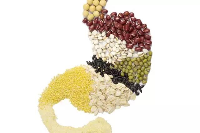 長(zhǎng)夏養(yǎng)生，吃出好“ 胃”口！